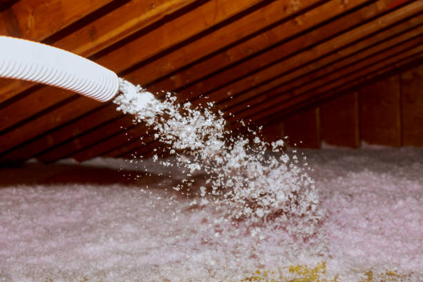 Best Energy-efficient Insulation  in Dexter, MO