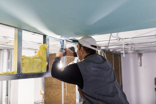 Best Insulation for New Construction  in Dexter, MO