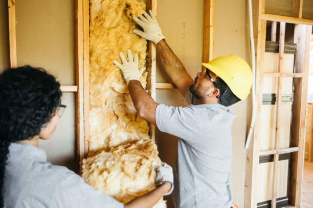 Best Home Insulation Services  in Dexter, MO