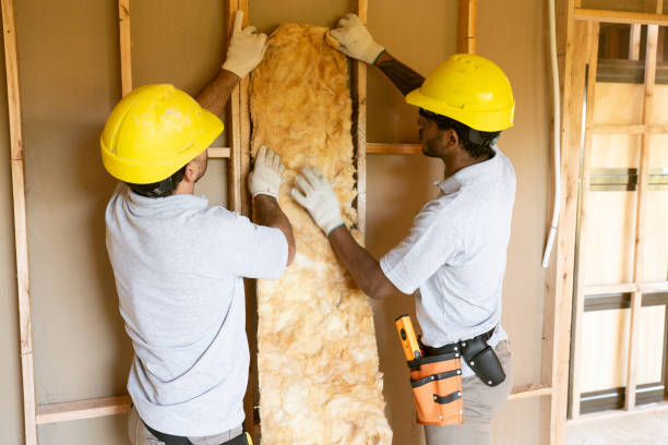 Best Insulation Removal  in Dexter, MO
