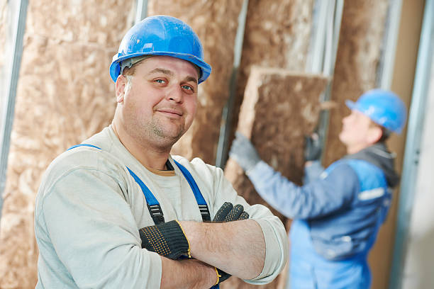 Best Cellulose Insulation  in Dexter, MO