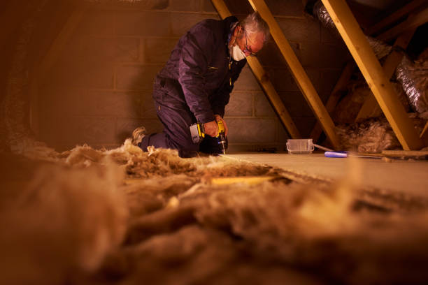 Best Energy-efficient Insulation  in Dexter, MO